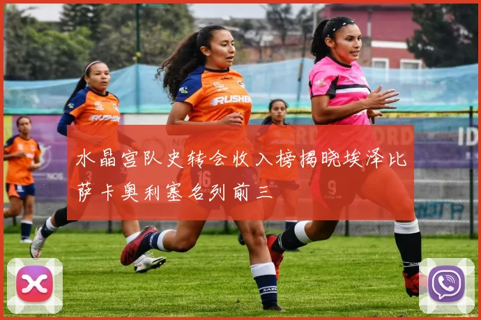 水晶宫队史转会收入榜揭晓埃泽比萨卡奥利塞名列前三