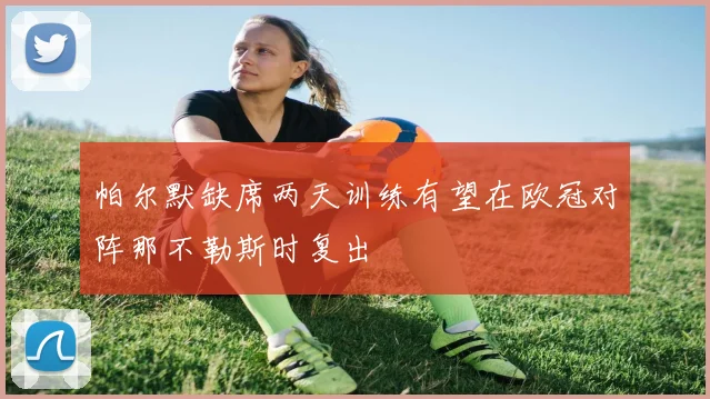 帕尔默缺席两天训练有望在欧冠对阵那不勒斯时复出